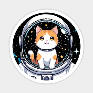 Catstellar Magnet